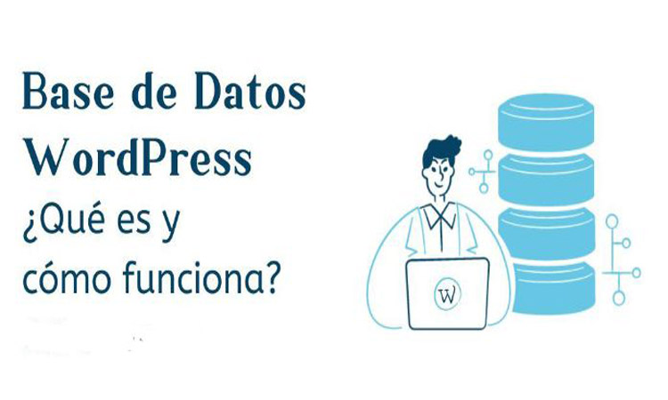 Guía principiantes Base de Datos: WordPress