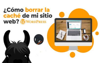 Borrar cache: WordPress
