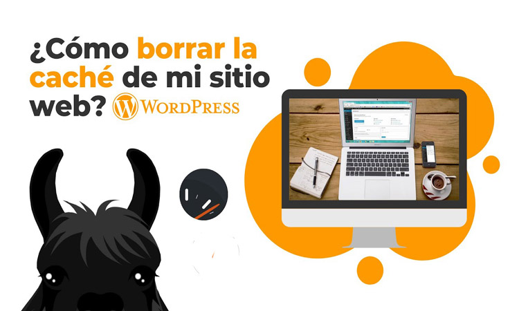 Borrar cache: WordPress