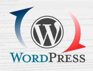 problemas actualizar WordPress