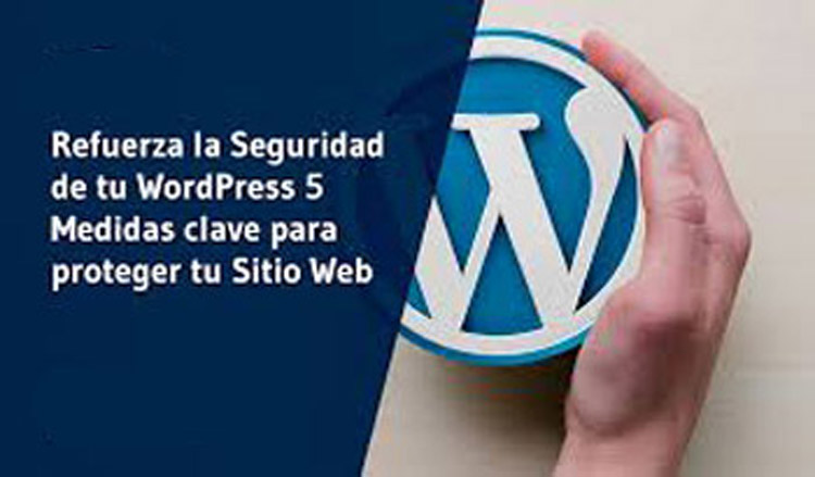 Formas proteger acceso: WordPress