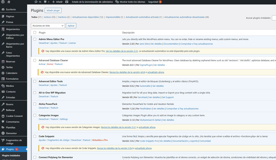 Mantenimiento Web Mensual de WordPress