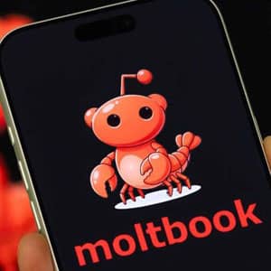 Moltbook movil