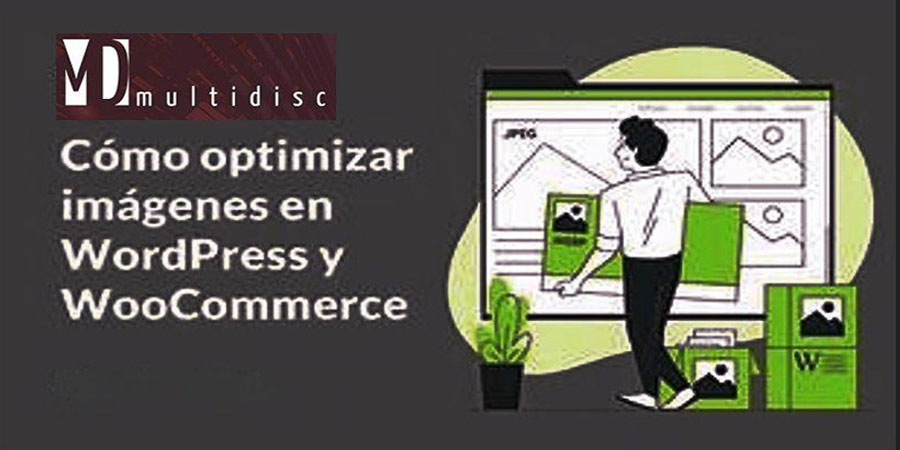 Cómo optimizar WorPress