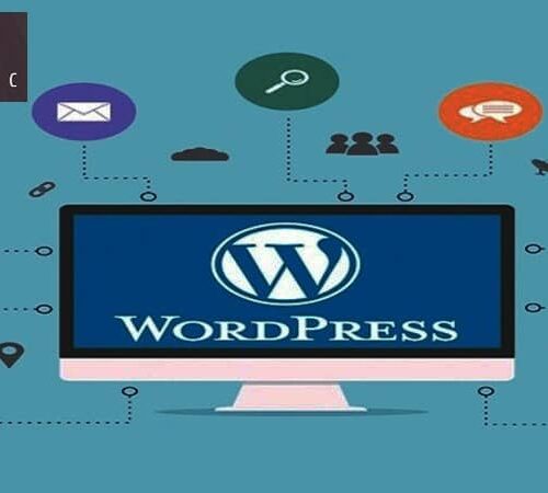 Importancia del Soporte Profesional WordPress