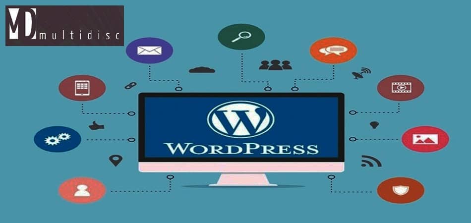 Importancia del Soporte Profesional WordPress Importancia del Soporte Profesional WordPress